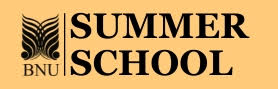 Summer School 2025 Logo